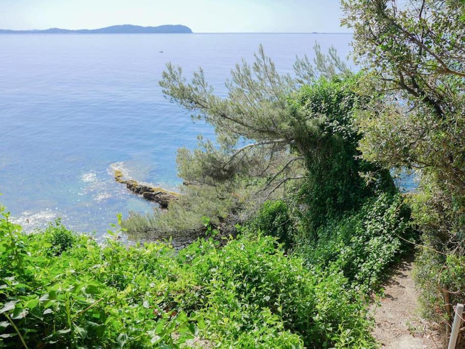 Maisonnette Avec Vue Sur La Mer Exceptionnelle Carqueiranne Εξωτερικό φωτογραφία